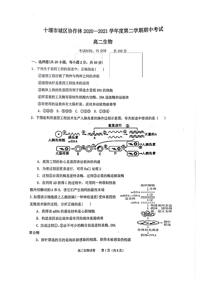 2020-2021学年湖北省十堰市城区普高协作体高二下学期期中考试生物试题  pdf版01