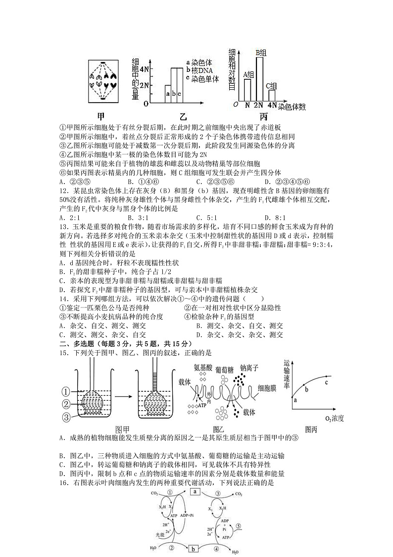 江苏省淮安市高中校协作体2022届高三上学期期中考试生物试题含答案03