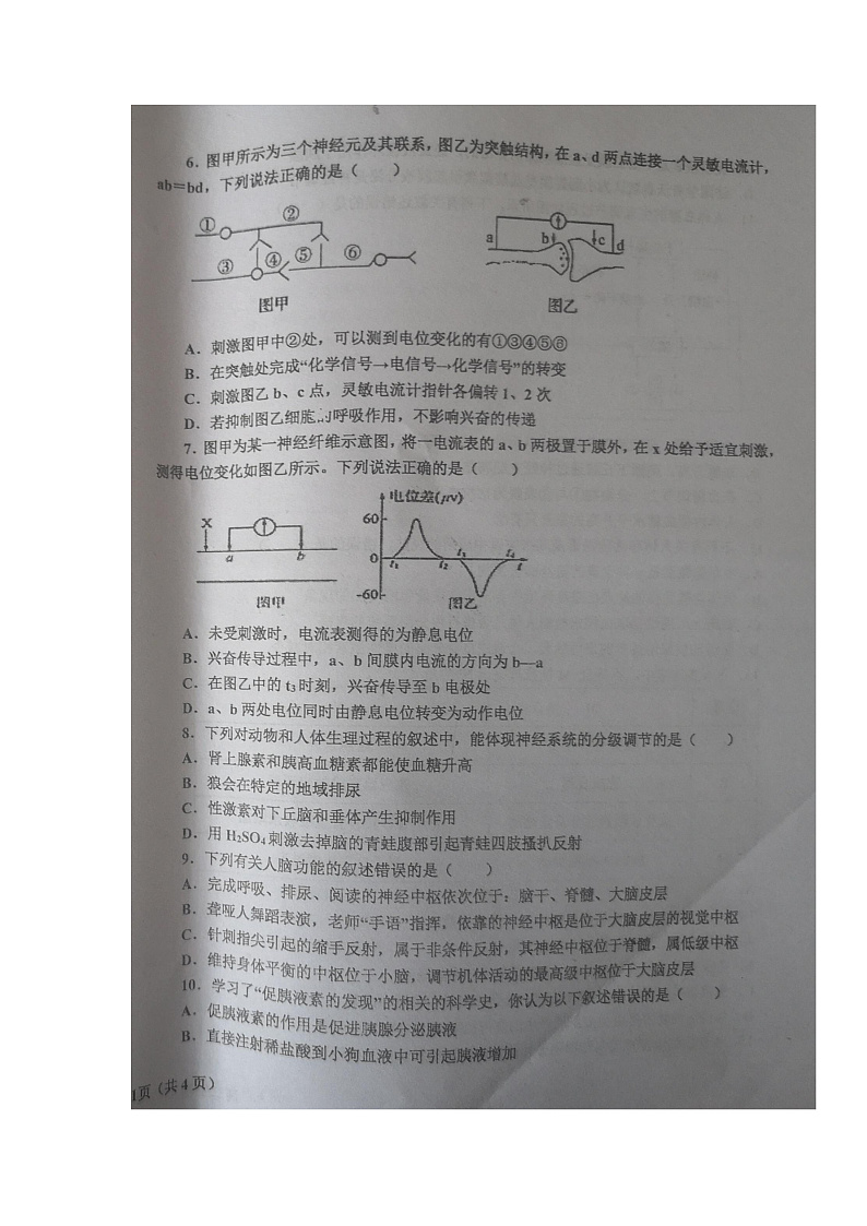 辽宁省辽东南协作体2021-2022学年高二上学期期中考试生物试题第2页