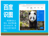 粤科版5年级下 02 图像识别 课件PPT+教案+学案+视频