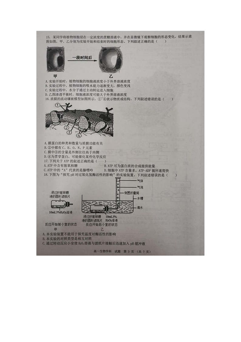 浙江省精诚联盟2021-2022学年高一上学期12月联考生物试题扫描版含答案03
