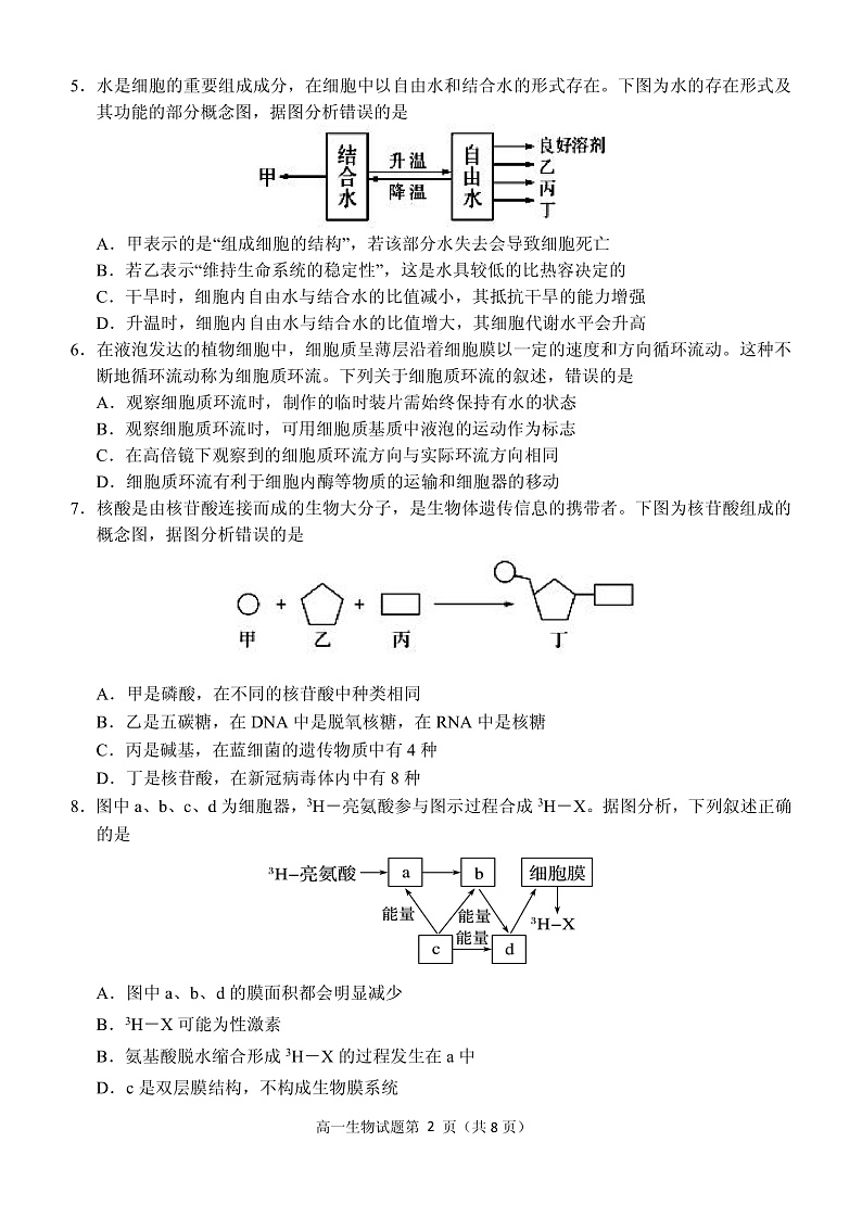 安徽省卓越县中联盟2021-2022学年高一上学期12月联考生物试题PDF版含答案02