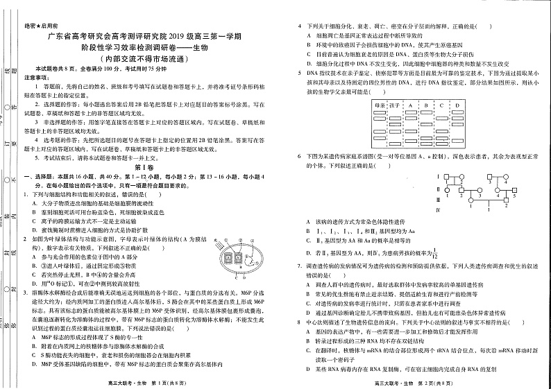 2021-2022-1高三12月联考 生物试卷第1页