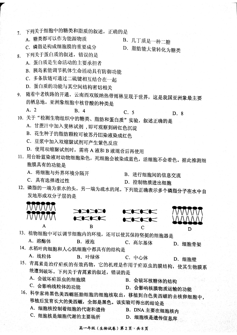 云南省昆明市官渡区2021-2022高一年级期末生物试卷第2页