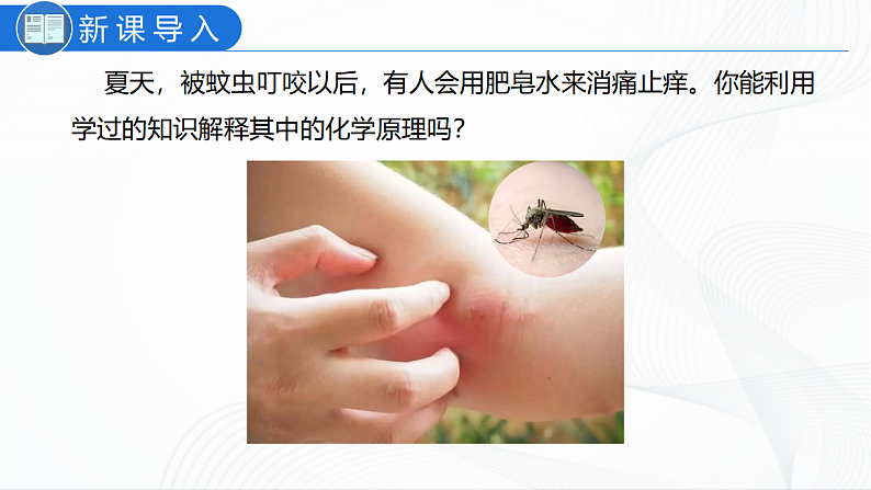 人教版化学九下实验活动6《酸、碱的化学性质》课件+同步练习02