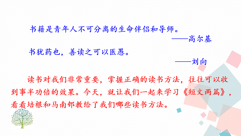 13 短文两篇第1页