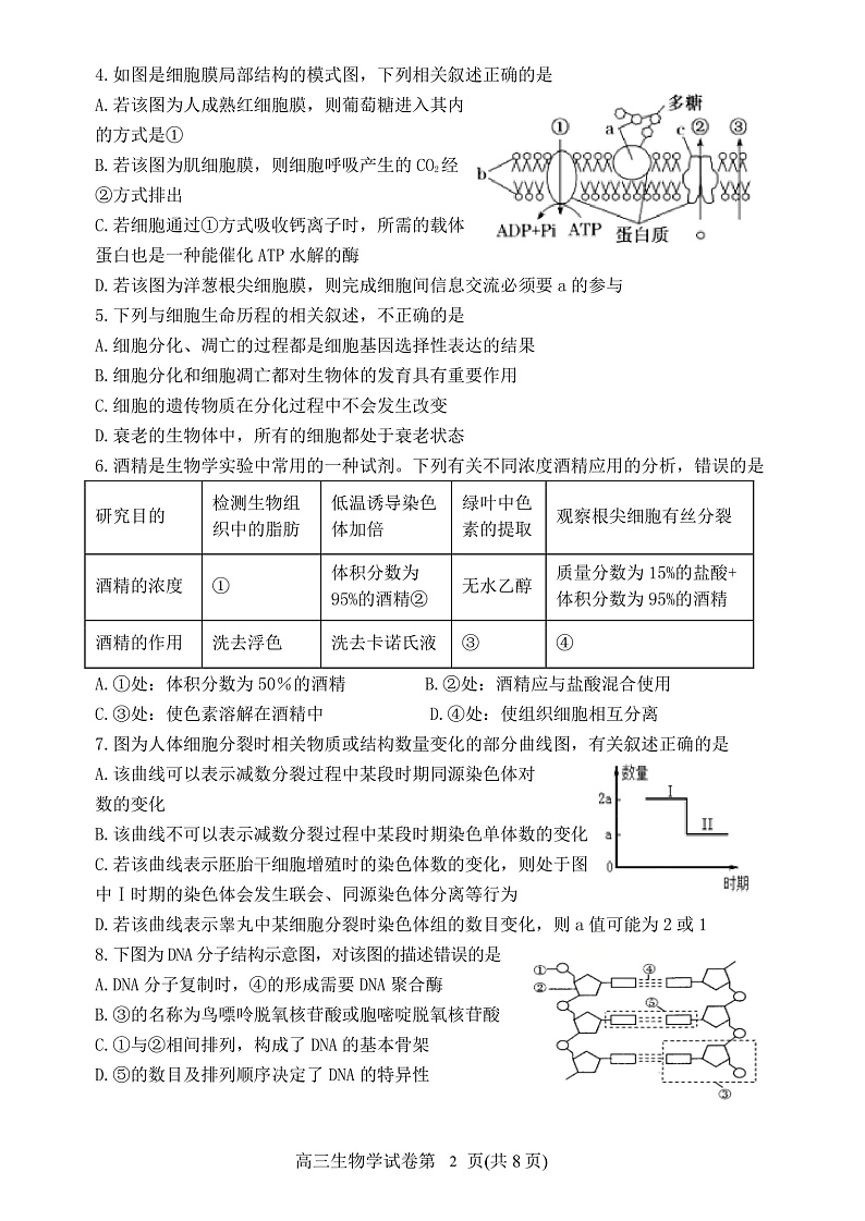 辽宁省丹东市2022届高三上学期期末教学质量监测生物试题PDF版含答案02