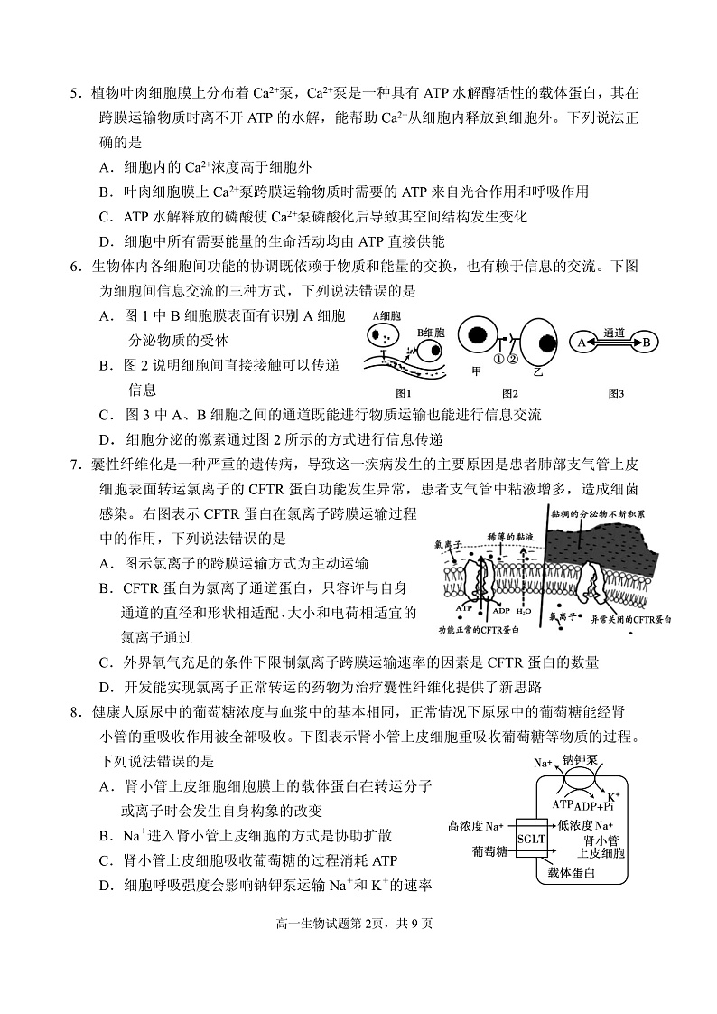 山东省威海市2021-2022学年高一上学期期末考试生物试题PDF版含答案02