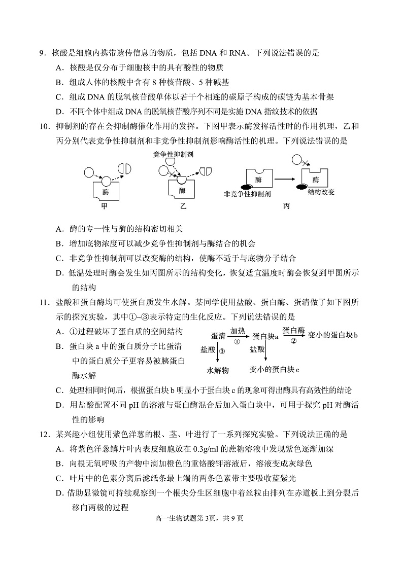 山东省威海市2021-2022学年高一上学期期末考试生物试题PDF版含答案03