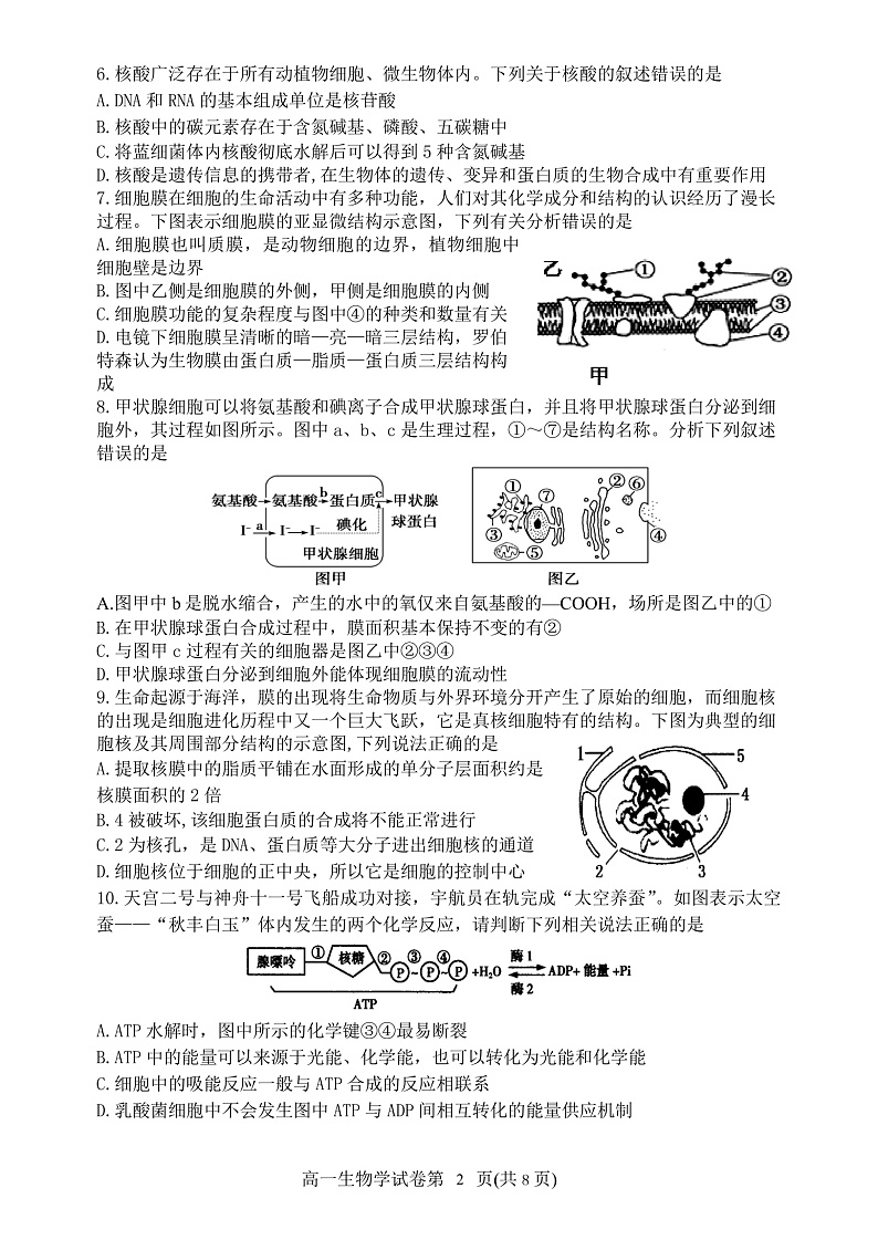 辽宁省丹东市2021-2022学年高一上学期期末教学质量监测生物试题PDF版含答案02