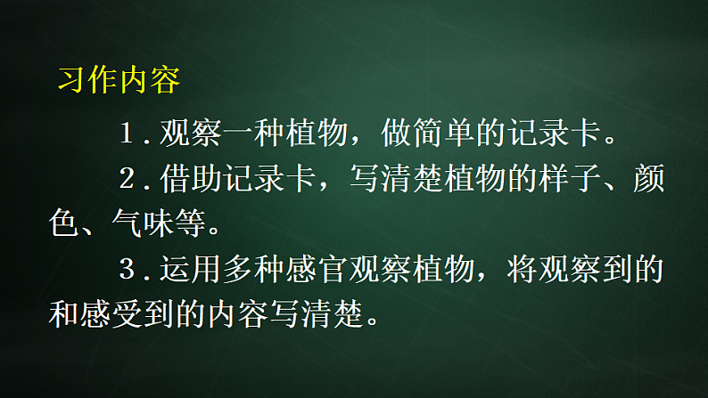 三年级下册语文 第1单元习作 我的植物朋友 PPT课件（共2课时）08