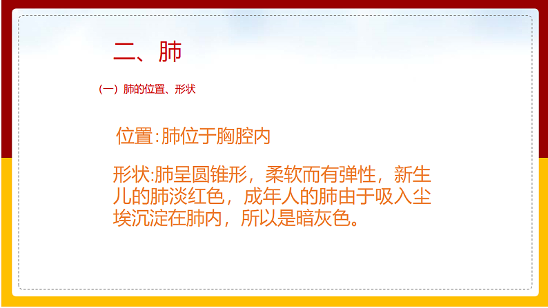 第2章 人的生活需要空气 第1节 人体与外界的气体交换课件PPT06