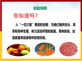 第2章 人的生活需要空气 第2节 人体内能量的利用课件PPT