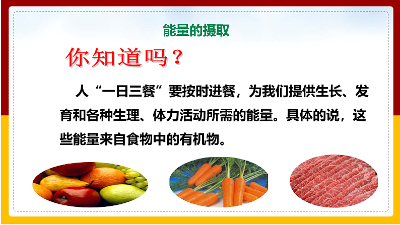 第2章 人的生活需要空气 第2节 人体内能量的利用课件PPT第3页