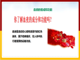 第3章 人体内的物质运输 第1节 物质运输的载体课件PPT