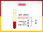 第3章 人体内的物质运输 第1节 物质运输的载体课件PPT