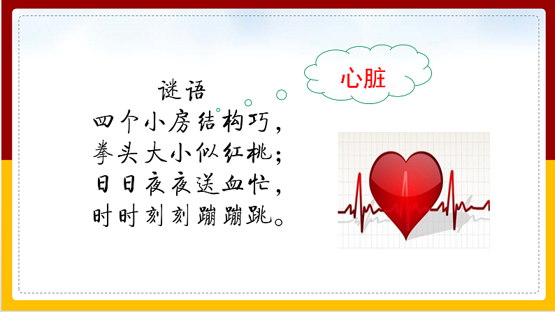 第3章 人体内的物质运输 第2节 物质运输的器官课件PPT02