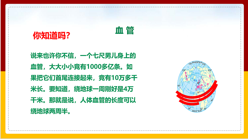 第3章 人体内的物质运输 第2节 物质运输的器官课件PPT03