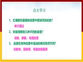 第3章 人体内的物质运输 第2节 物质运输的器官课件PPT