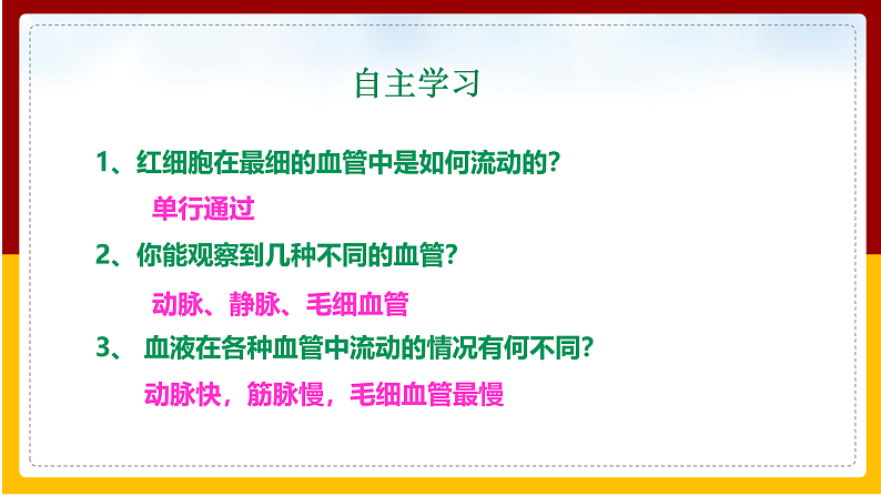 第3章 人体内的物质运输 第2节 物质运输的器官课件PPT04