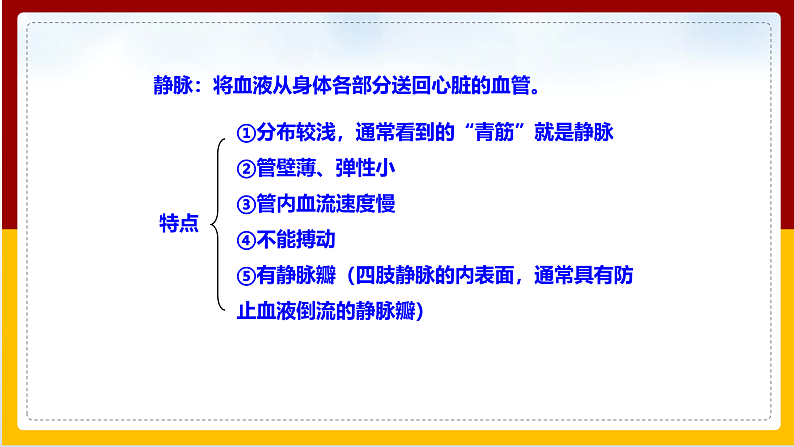 第3章 人体内的物质运输 第2节 物质运输的器官课件PPT06