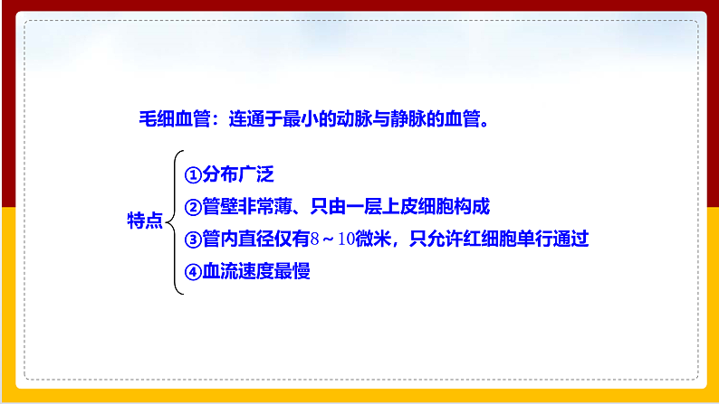 第3章 人体内的物质运输 第2节 物质运输的器官课件PPT08