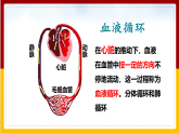 第3章 人体内的物质运输 第3节 物质运输的途径课件PPT