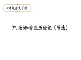 六年级下册语文课件-7.汤姆•索亚历险记（节选）-人教部编版