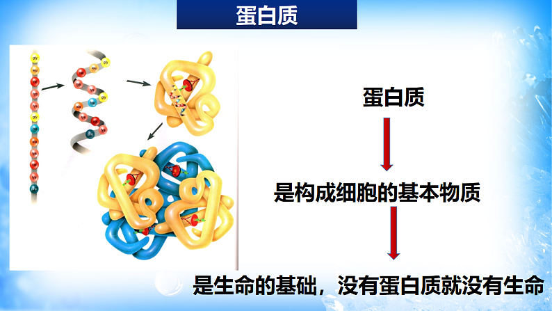 7.4.2蛋白质、油脂（精品课件）04
