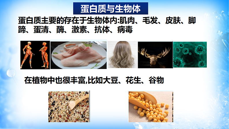 7.4.2蛋白质、油脂（精品课件）05