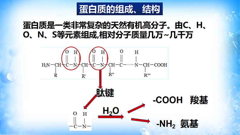 7.4.2蛋白质、油脂（精品课件）06