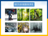2.4 能量（课件+教案+导学案+练习）（教科版）