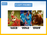 3.1  认识声现象（课件+教案+导学案+练习）（教科版）