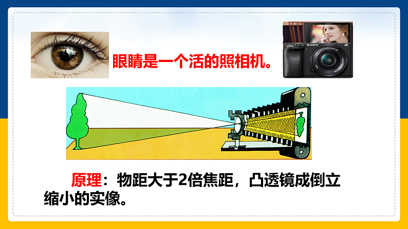4.6 神奇的眼睛  课件第8页
