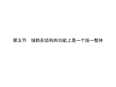 2.5 细胞在结构和功能上是一个统一整体-课件浙科版（2019）高中生物必修一