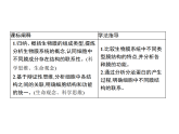 2.5 细胞在结构和功能上是一个统一整体-课件浙科版（2019）高中生物必修一