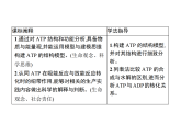 3.1 ATP是細(xì)胞內(nèi)的“能量通貨”-課件浙科版（2019）高中生物必修一