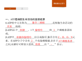 3.1 ATP是細(xì)胞內(nèi)的“能量通貨”-課件浙科版（2019）高中生物必修一