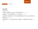 3.1 ATP是細(xì)胞內(nèi)的“能量通貨”-課件浙科版（2019）高中生物必修一
