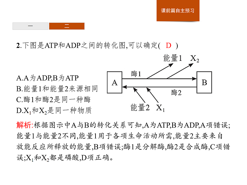 3.1 ATP是细胞内的“能量通货”-课件浙科版（2019）高中生物必修一第8页