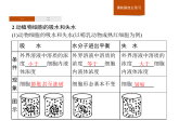 3.3 物质通过多种方式出入细胞-课件浙科版（2019）高中生物必修一