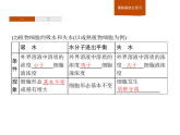 3.3 物质通过多种方式出入细胞-课件浙科版（2019）高中生物必修一