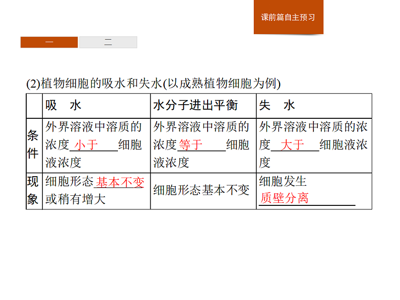 3.3 物质通过多种方式出入细胞-课件浙科版（2019）高中生物必修一05