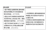2.4 细胞核是细胞生命活动的控制中心-课件浙科版（2019）高中生物必修一