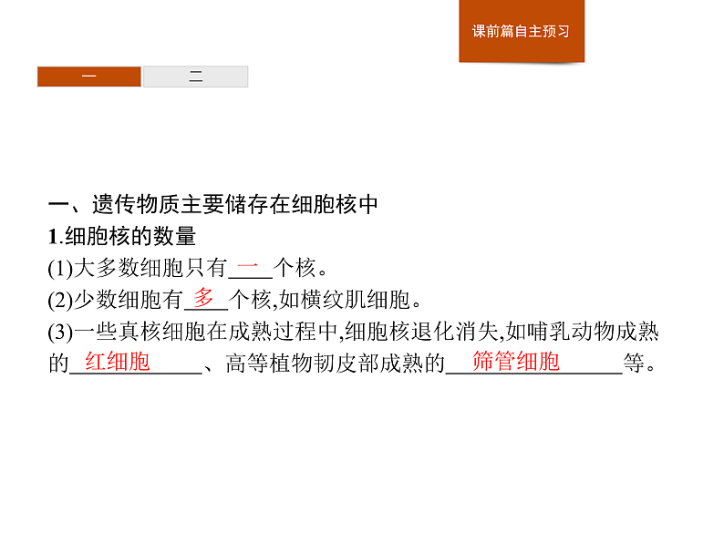 2.4 细胞核是细胞生命活动的控制中心-课件浙科版（2019）高中生物必修一03