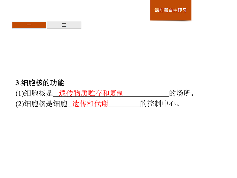 2.4 细胞核是细胞生命活动的控制中心-课件浙科版（2019）高中生物必修一05