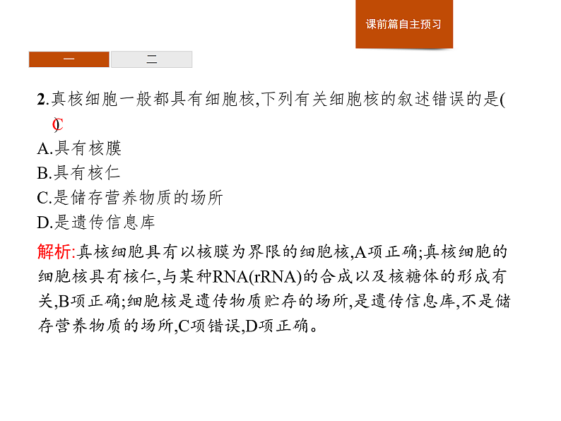 2.4 细胞核是细胞生命活动的控制中心-课件浙科版（2019）高中生物必修一07