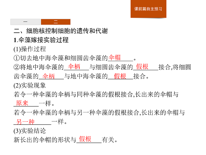 2.4 细胞核是细胞生命活动的控制中心-课件浙科版（2019）高中生物必修一08