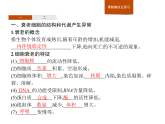 4.3 细胞凋亡是编程性死亡-课件浙科版（2019）高中生物必修一