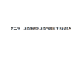 2.2 细胞膜控制细胞与周围环境的联系-课件浙科版（2019）高中生物必修一